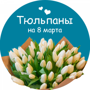 Купить тюльпаны в Солнечногорске